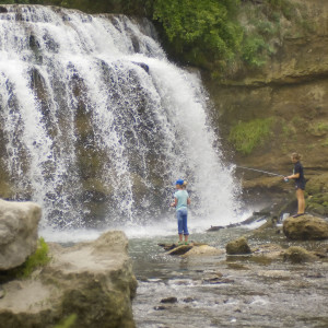 Snake River Falls