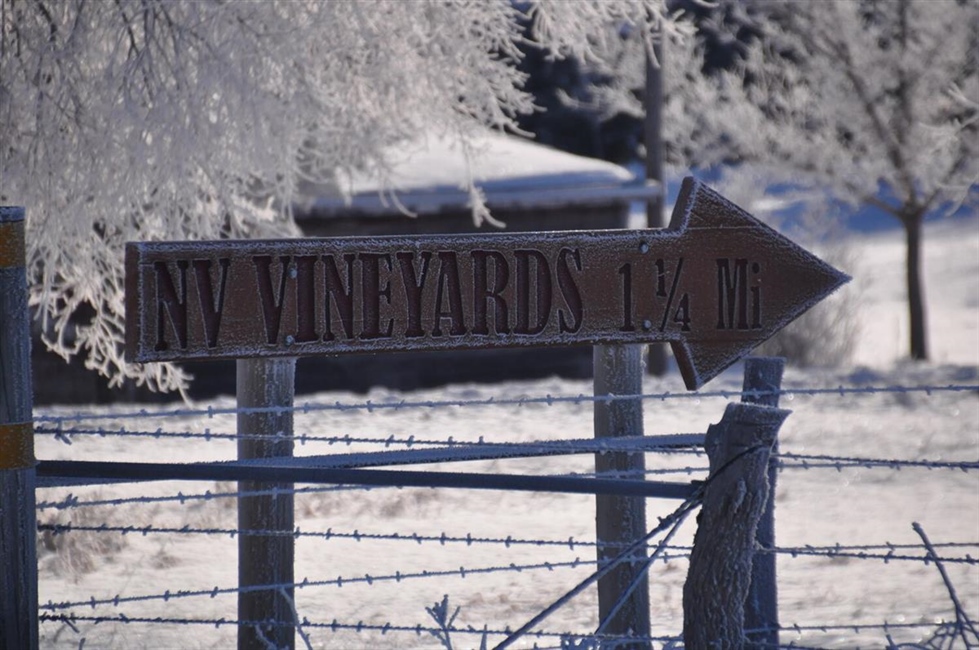 Niobrara Valley Vineyards