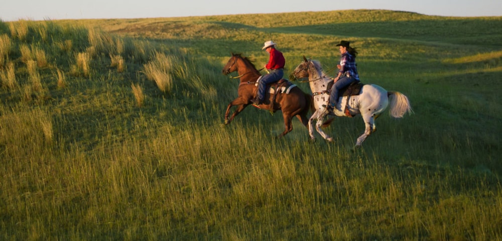 horseback riding